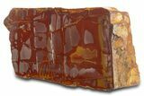 Polished Noreena Jasper Section - Australia #317893-1